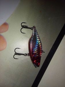 Lures null 11