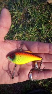 Lures null lipless