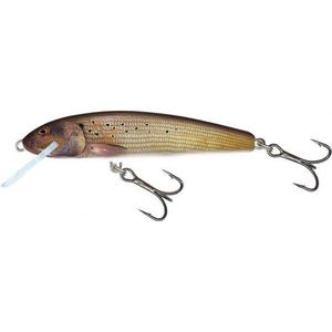 Lures Salmo Salmo minnow 7