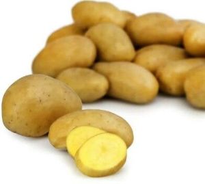 Baits & Additives Carrefour Pommes de terre Carrefour Baits & Additives Carrefour Pommes de terre Carrefour