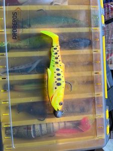 Lures Savage Gear Leurrz souple