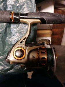 Reels Sakura Sakura kapax
