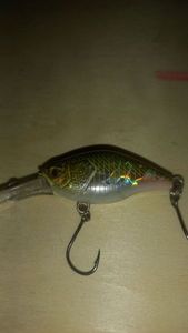 Lures Caperlan CRKDD DOS-VERT 