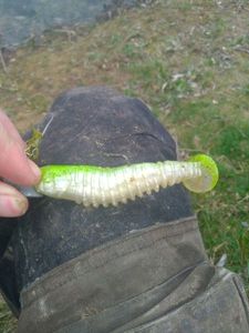 Lures Berkley Chartreu