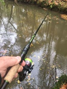 Rods Gunky Finesse Game S228 M-ML