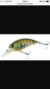 Lures Duo Realis Crankbait