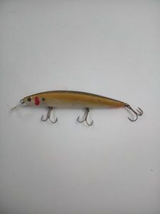 Lures Lucky Craft pointer 110 or
