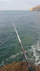 Rods Savage Gear salt 9'2