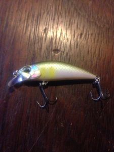 Lures Duo Ryuki 45s