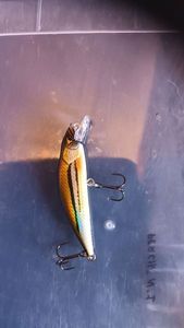 Lures Caperlan MNWFS 50 US