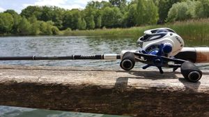 Rods Hookers the Haze