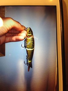 Hooks Savage Gear Savage Gear