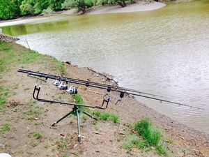 null Amiaud Rod Pod
