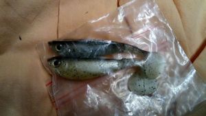 Lures Berkley pulse shad 7cm gris 