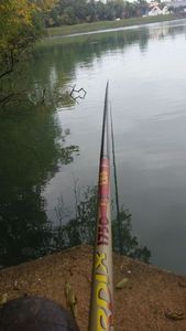 Rods Milo gerardix 1750
