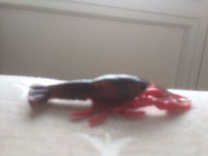 Lures Savage Gear Ecrevisse