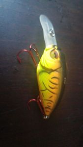Lures payo propbait