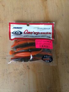 Lures Sawamura One'up Shad