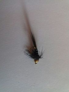 Flies dead Black Nymphe