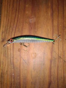 Lures Jackson artist 80