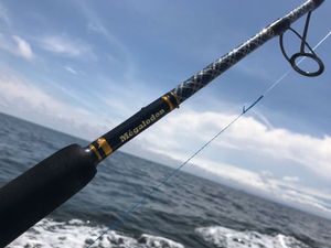 Rods Neo Custom Rods Megalodon