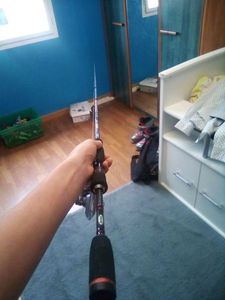 Rods Berkley Pulse EVX