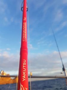 Rods Yakutsu tavarua