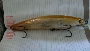Lures Cultiva cultiva sp