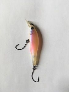 Lures Megabass X-80 jr.