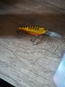 Lures Lucky Craft us shad 75