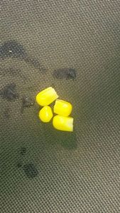 Baits & Additives null mais doux
