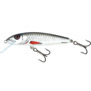 Lures Salmo Floating Minnow 6 - Dace