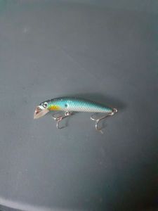 Lures null pic-fish