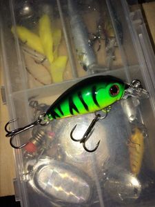 Lures null Crankbait (petit Carnassier)