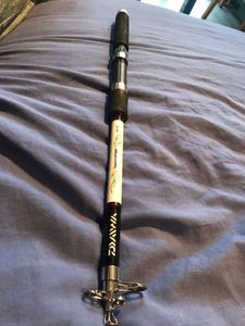 Rods Daiwa Canne Sweepfire Telescopique 