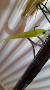 Lures null Finess chartreux 6cm
