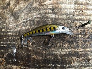 Lures Gunki Gamera 60 