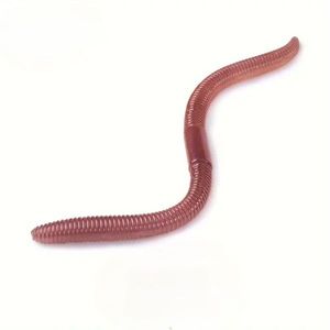 Lures Kingdom Imitation Vers de Terre - 12Cm - 06
