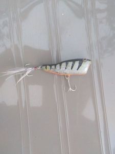 Lures null popper perch 