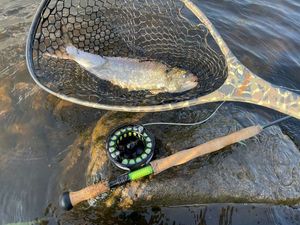 Rods North Fork Composites FASW 1106 Rods North Fork Composites FASW 1106