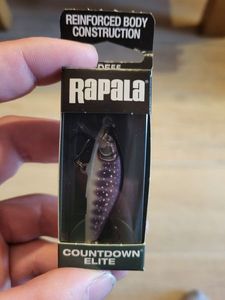 Lures Rapala Countdown elite cde55 gdiw gilded iwana