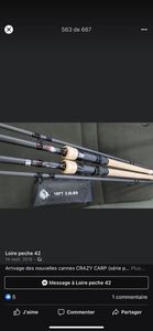 Rods Crazy carp Canne crazy carp 10ft 3,00lbs 