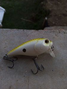 Lures Nomura Tokio Crank