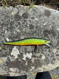 Lures null Jerkbait