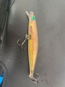 Lures Rapala Shadow rap 07 