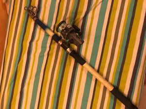 Rods Decathlon Canne a carpe Rods Decathlon Canne a carpe