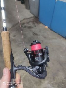 Reels Delphin Delphin poison 10