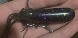 Lures Bass magnet Poulpe