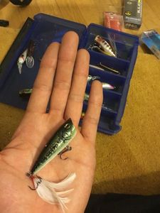 Lures Caperlan Popper De Merde
