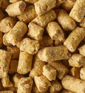 Baits & Additives Caperlan Baby corn